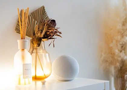 ドライフラワーの簡単インテリア術